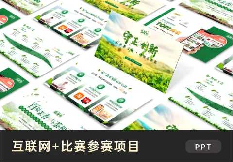 大学生创业比赛参赛项目PPT